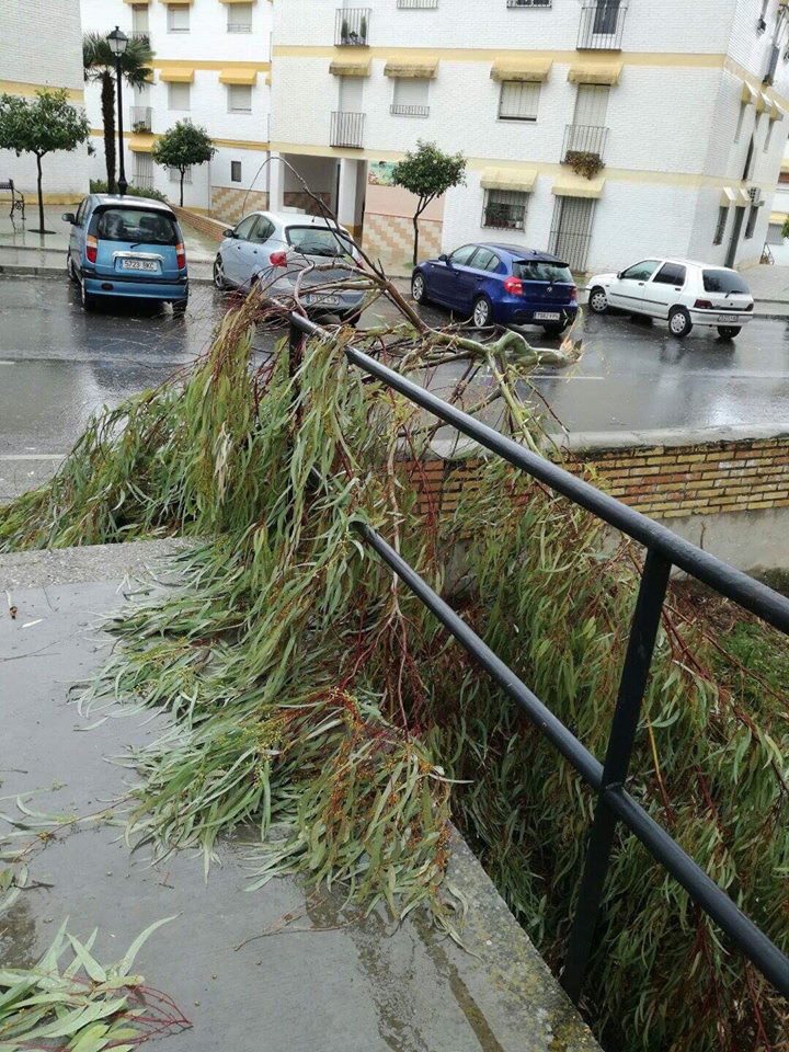 Efectos del vendaval en Cabra el 3 de febrero de 2017.